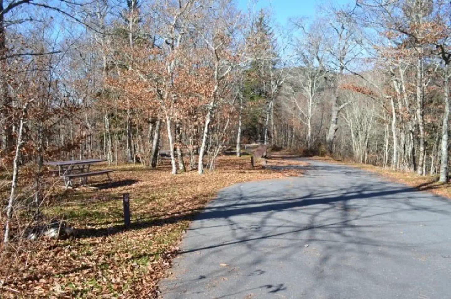BALSAM MOUNTAIN CAMPGROUND