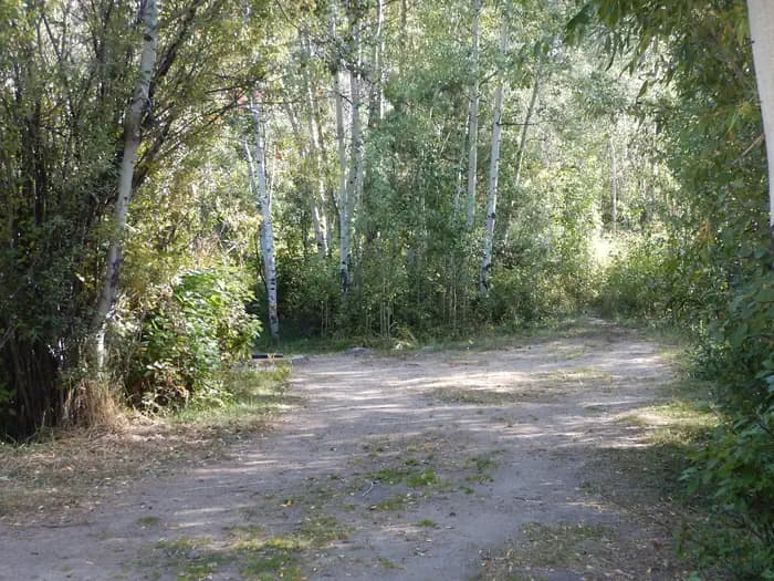 HALF MOON LAKE CAMPGROUND