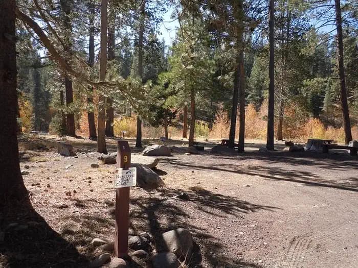 LOWER LITTLE TRUCKEE