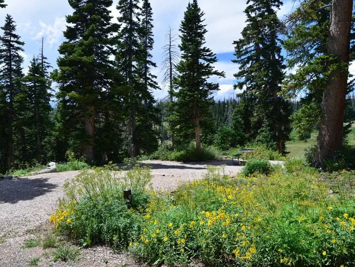 POINT SUPREME CAMPGROUND