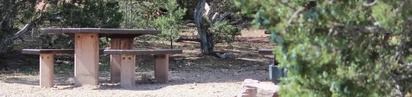 CEDAR SPRINGS CAMPGROUND