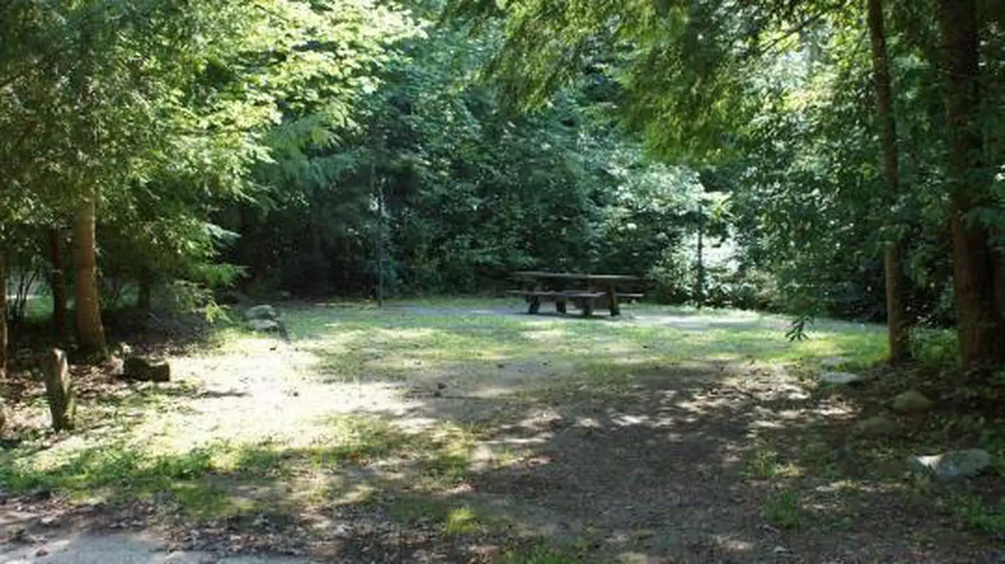 BACKBONE ROCK CAMPGROUND