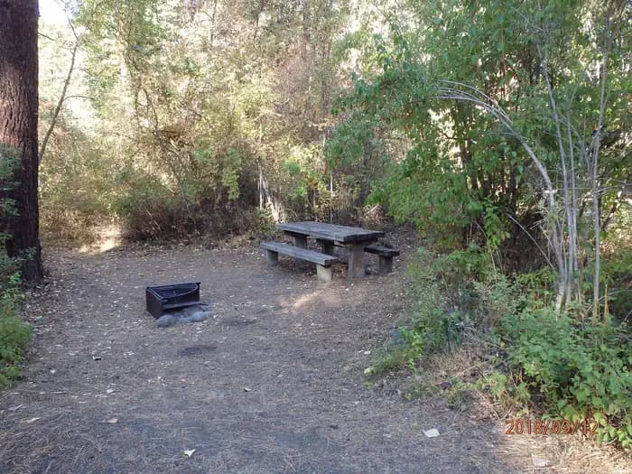 Cottonwood Campground - Naches River (WA)