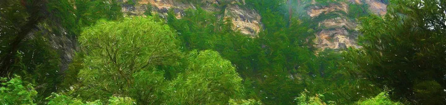 LEIGH CREEK CAMPGROUND