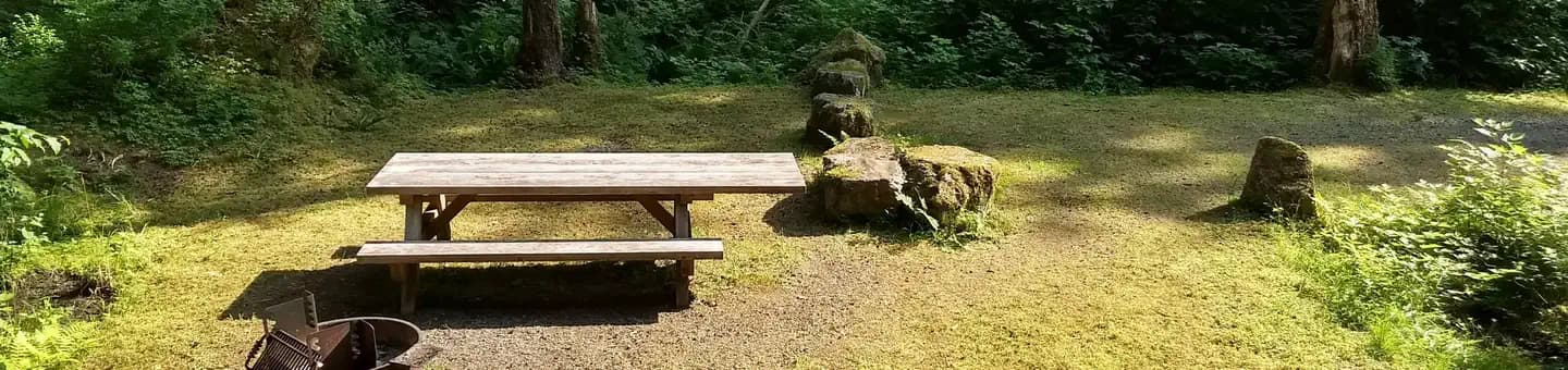 Starrigavan Campground