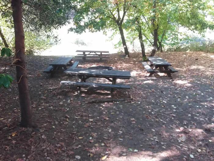 CURLY JACK CAMPGROUND