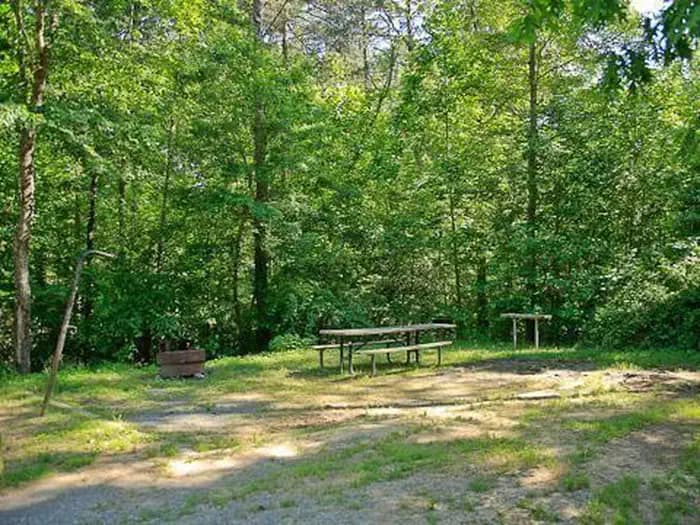 CANEBRAKE HORSE CAMP