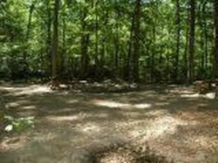 ELIZABETH FURNACE GROUP CAMP