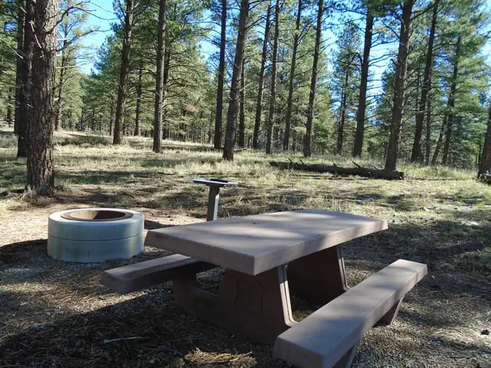 BUCKEYE RECREATION AREA (CO)