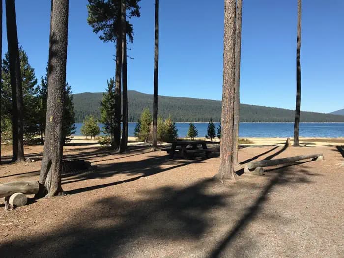 Contorta Flat Campground