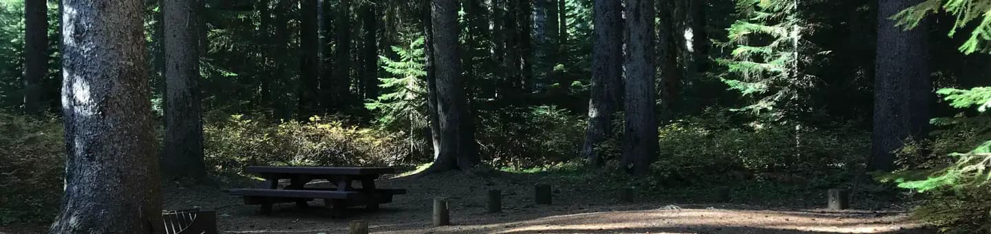 Trapper Creek Campground