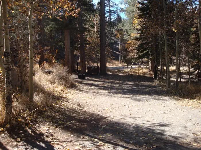 REVERSED CREEK CAMPGROUND