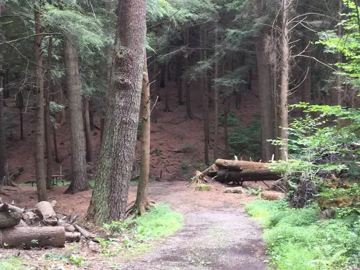 KELLY PINES CAMPGROUND