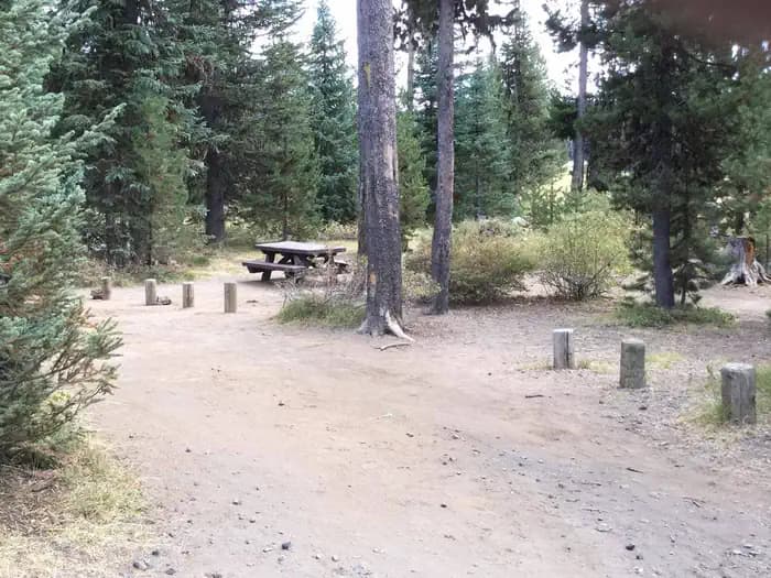 South Campground - Hosmer Lake (OR)