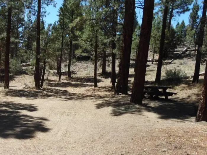 WILD HORSE EQUESTRIAN FAMILY