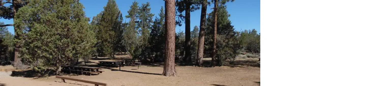 TANGLEWOOD GROUP CAMP