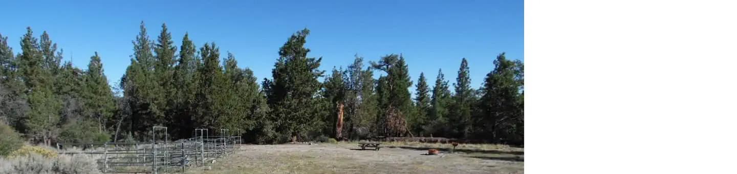 GREEN SPOT EQUESTRIAN GROUP CAMP