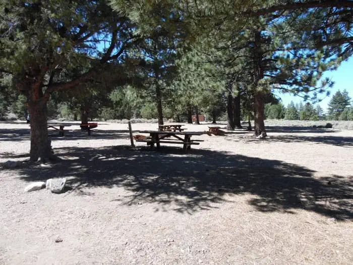 JUNIPER SPRINGS GROUP CAMP