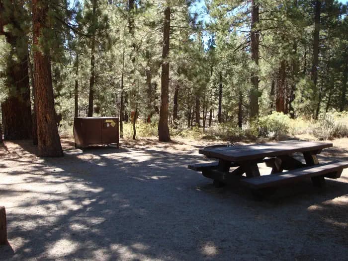 NEW SHADY REST CAMPGROUND