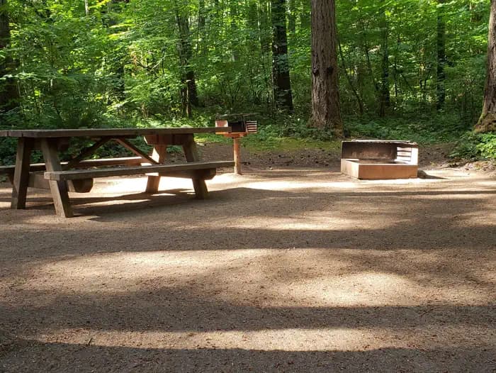 BOGUS CREEK CAMPGROUND