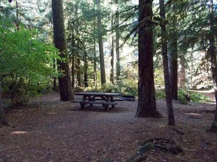 HORSESHOE BEND CAMPGROUND (OR)