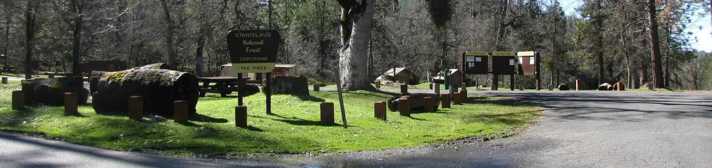 PINES GROUP STANISLAUS