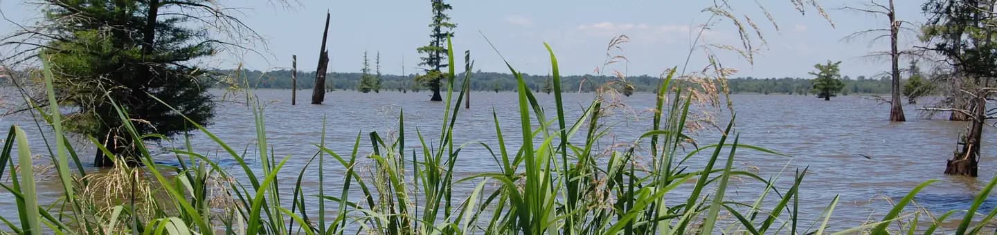 COTTONSHED PARK (AR)