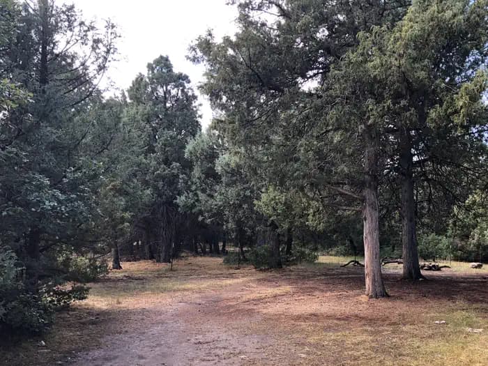 TWIN LAKE CAMPGROUND