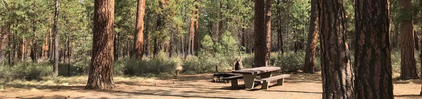 INDIAN FORD CAMPGROUND