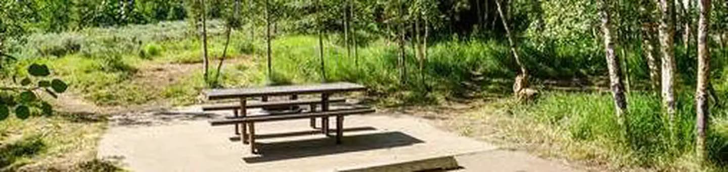 Aspen Grove (Uinta-Wasatch-Cache National Forest, UT)