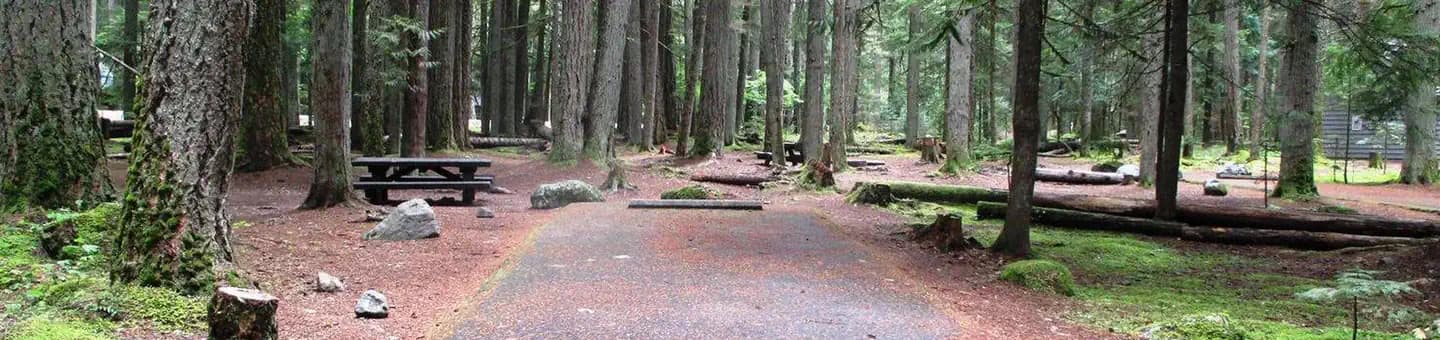 Silver Springs Campground