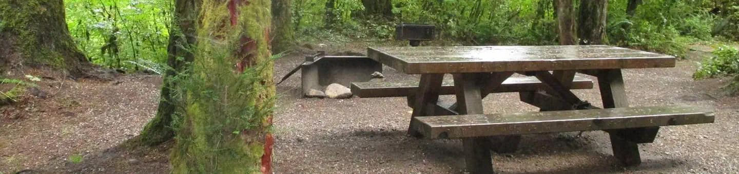 Clear Creek Campground