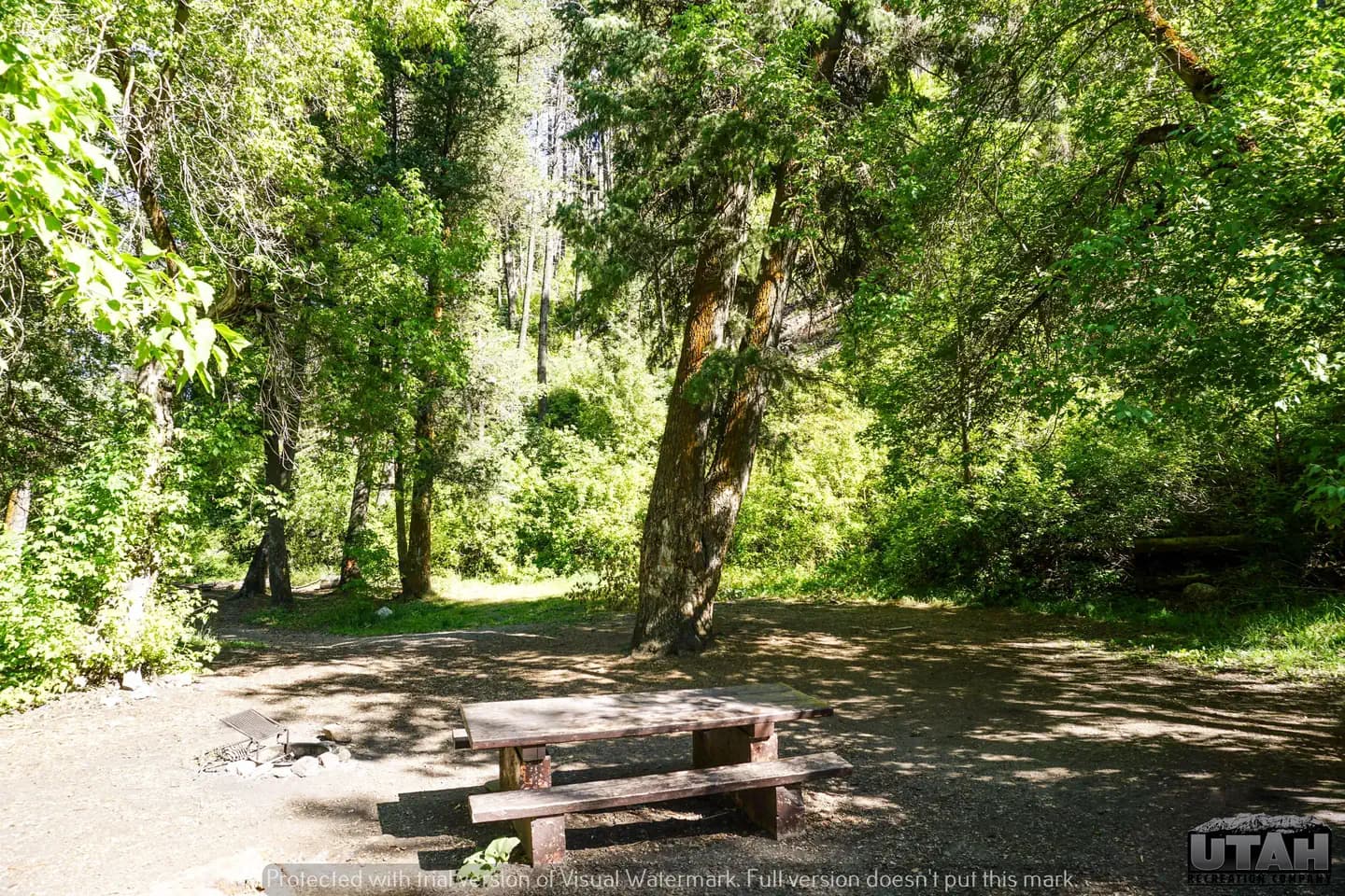 Lower Narrows Campground