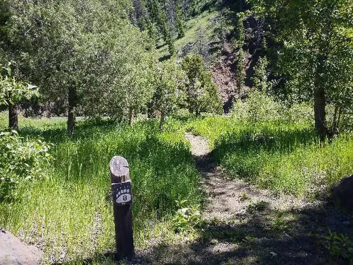 CLEARWATER CAMPGROUND