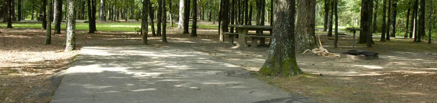 DAM SITE(GREERS FERRY)