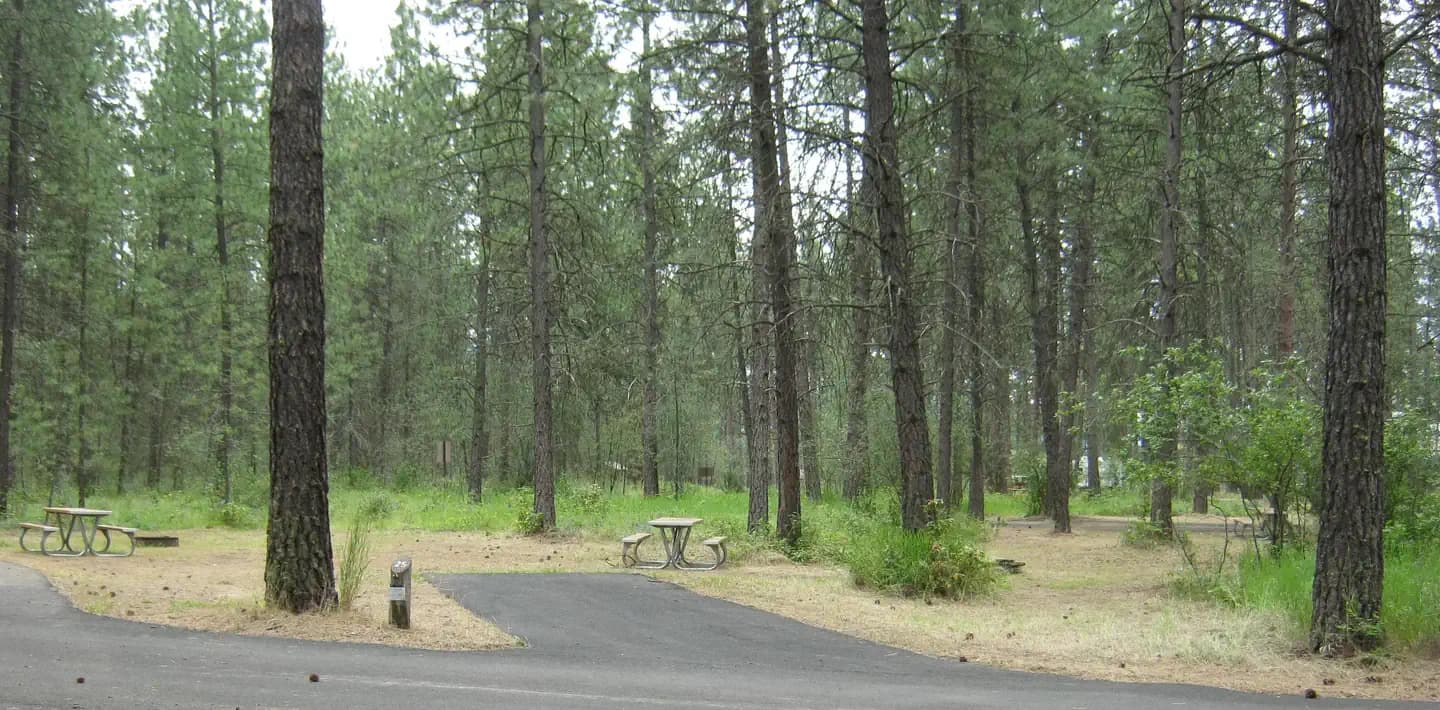 KETTLE FALLS CAMPGROUND