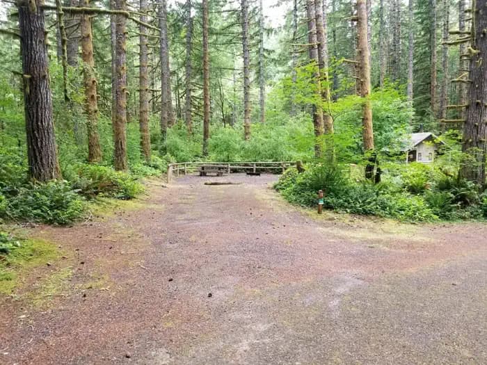 Alsea Falls Recreation Site (Campground)