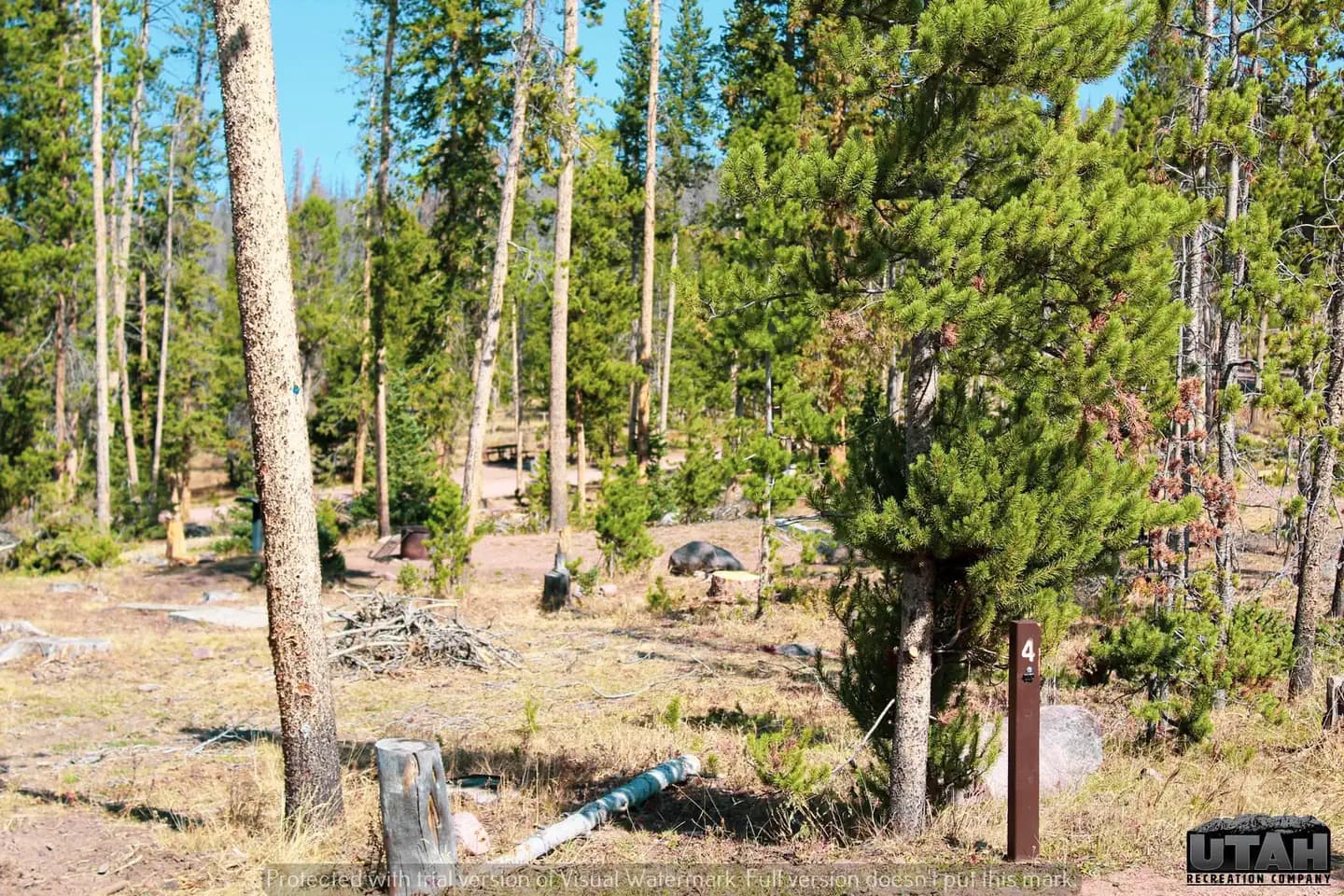 MARSH LAKE CAMPGROUND