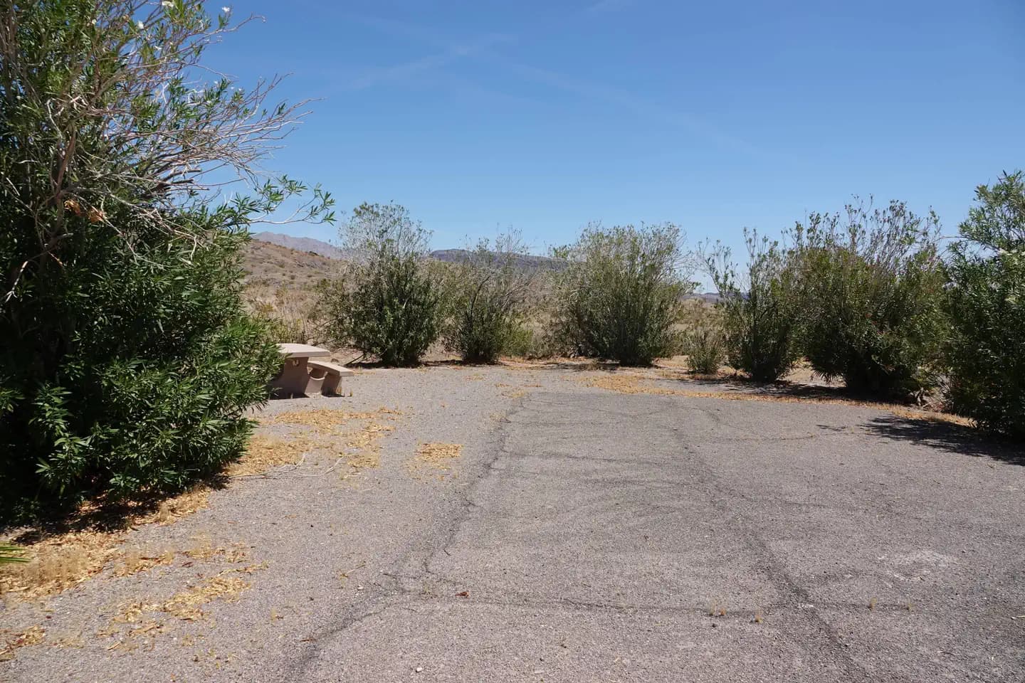 Callville Bay Campground