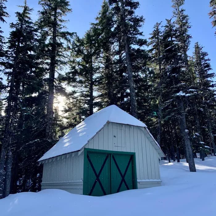 TILLY JANE GUARD STATION