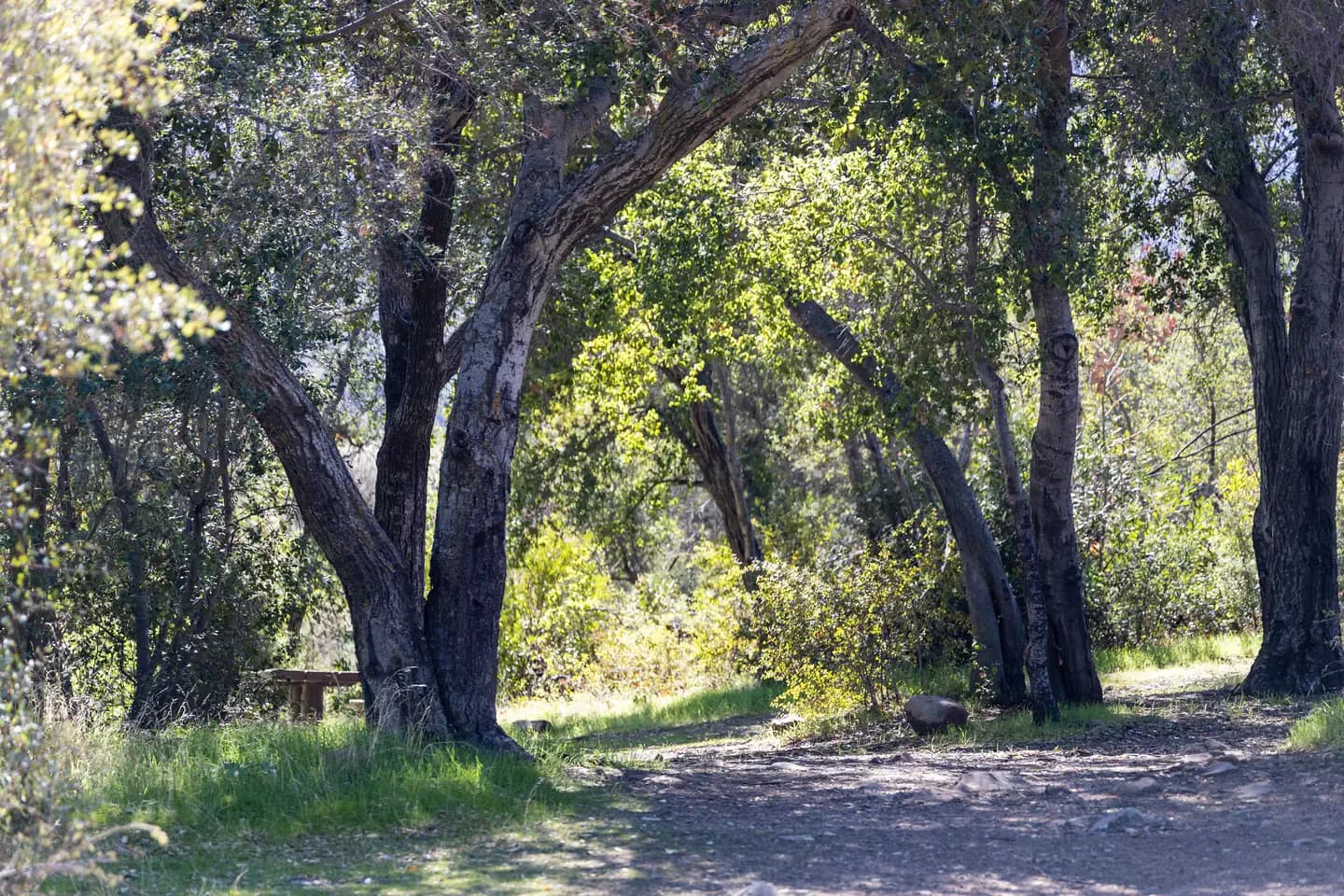 HOLIDAY GROUP CAMPGROUND