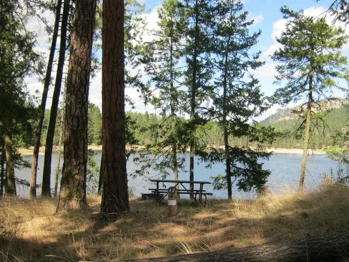 Kamloops Island Campground