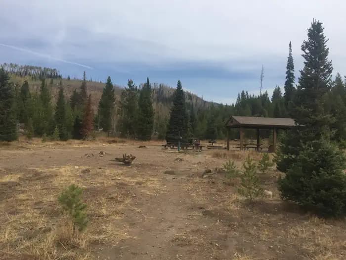 Seedhouse Group Site - Medicine-Bow Routt NF (CO)