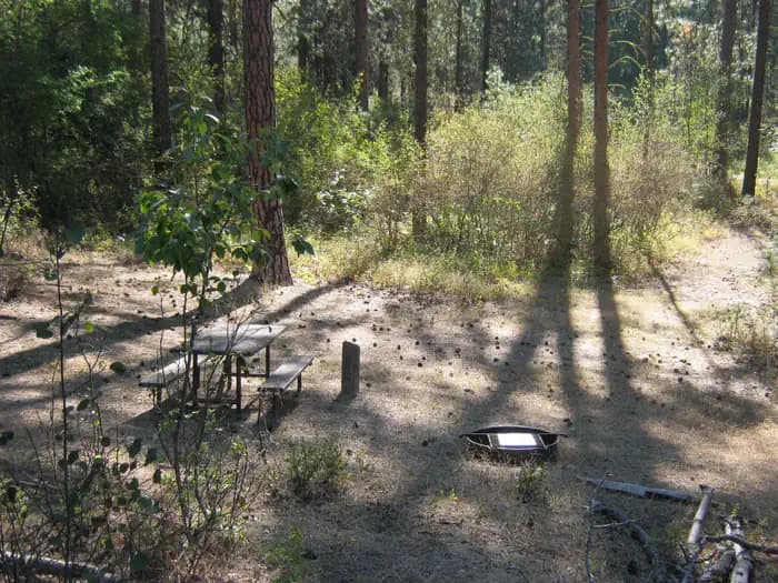 Cloverleaf Campground (WA)