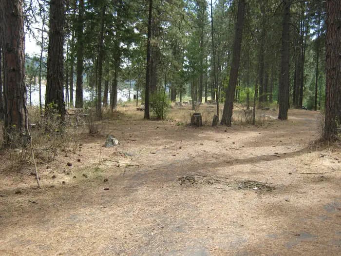 Snag Cove Campground