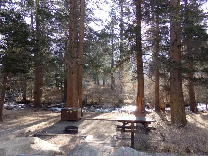 Bishop Park Campground (CA)