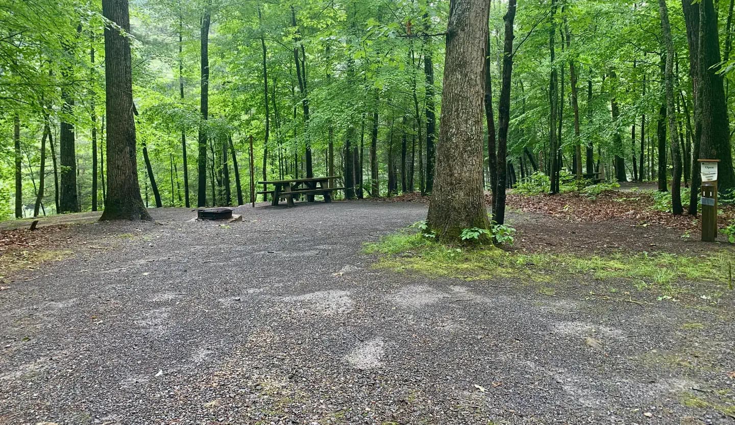 Jacobs Creek Campground (TN)