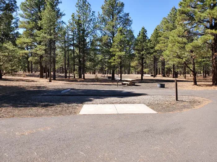Bonito Campground (AZ)