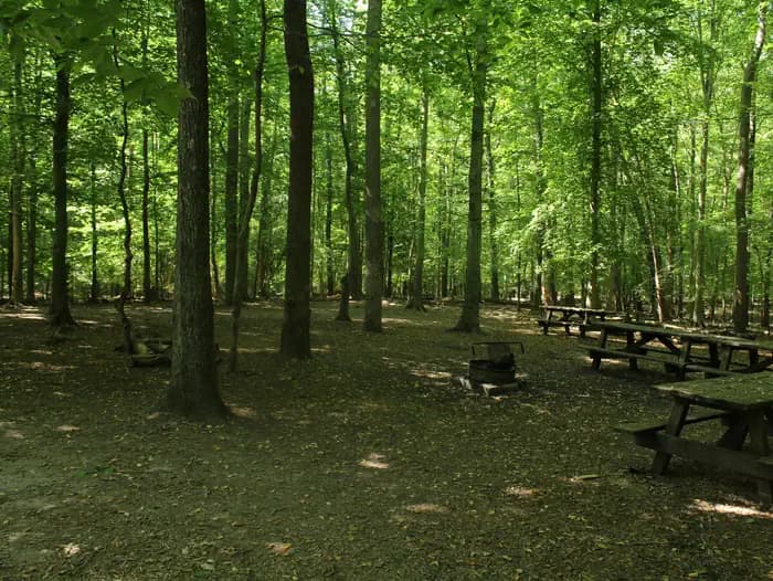 TURKEY RUN RIDGE GROUP