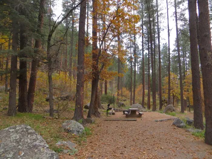 PINE FLAT CAMPGROUND WEST